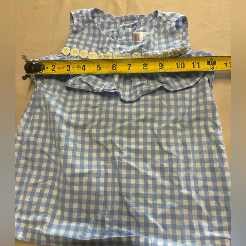 Gymboree Blue and‎ White Gingham Blouse with Ruffle and Daisies
